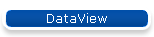 DataView