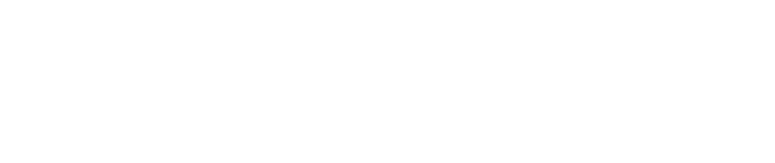 Palisaden als Sichtschutzmauer 37